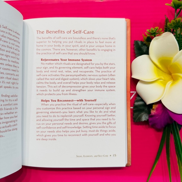 CONSTANCE STELLAS ~ The Little Book of Self-Care for Leo the Lion Zodiac Sign - Picture 8 of 11
